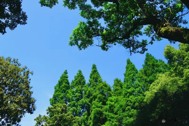 下联：夏观万木争荣。夏观对春赏，万木争荣对百花齐放，对仗工整好对联。