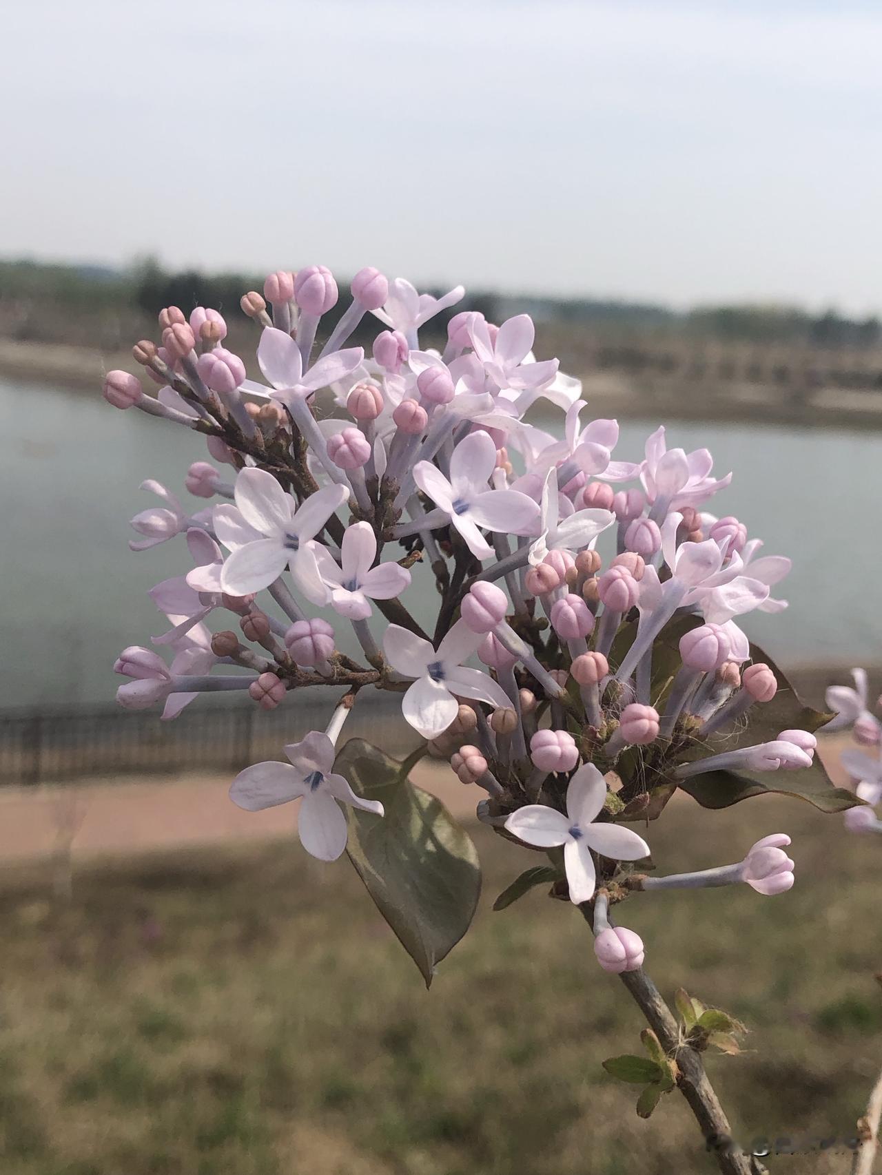 疯涨！机票燃油费又涨价，普通人出行被割韭菜？

5月16日起，国内机票燃油附加费