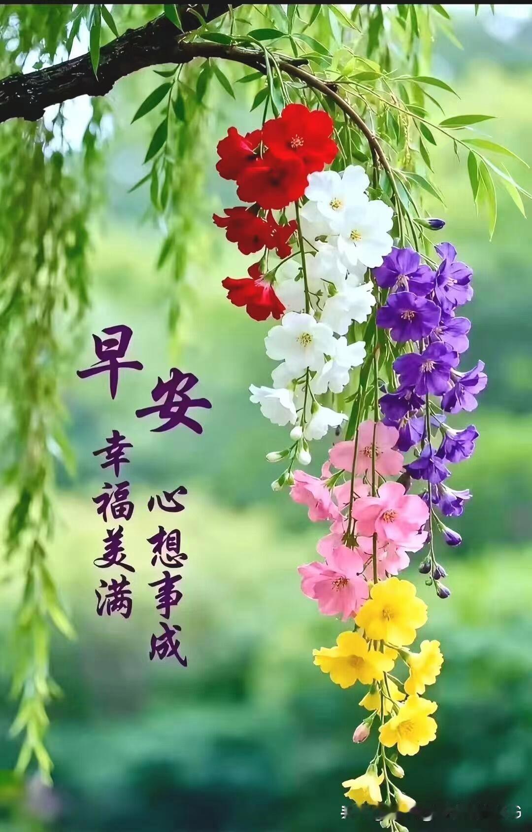 一路走来慢慢懂得，善良从来都不是软弱，而是做人最踏实的底色。
 
人活着，心眼好