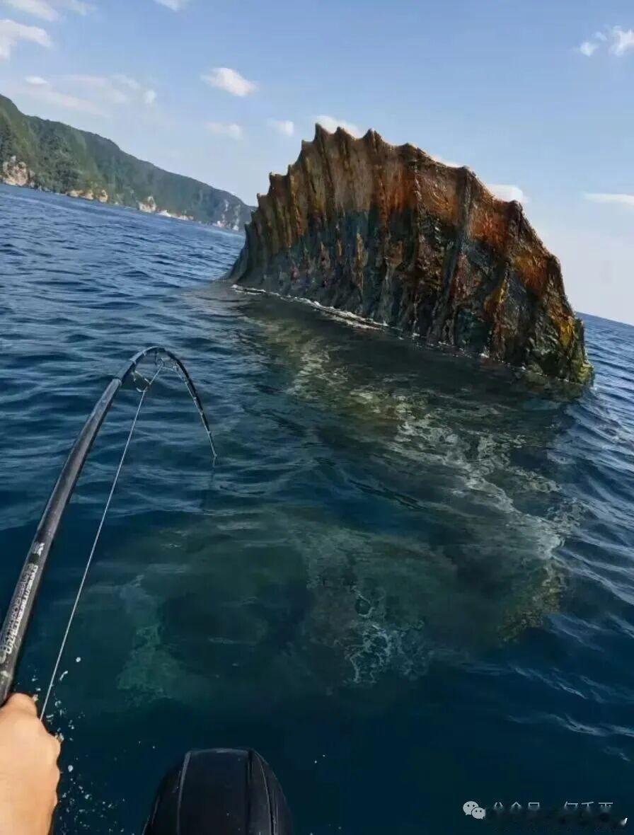 看来这鱼竿也不是一般物件啊 
