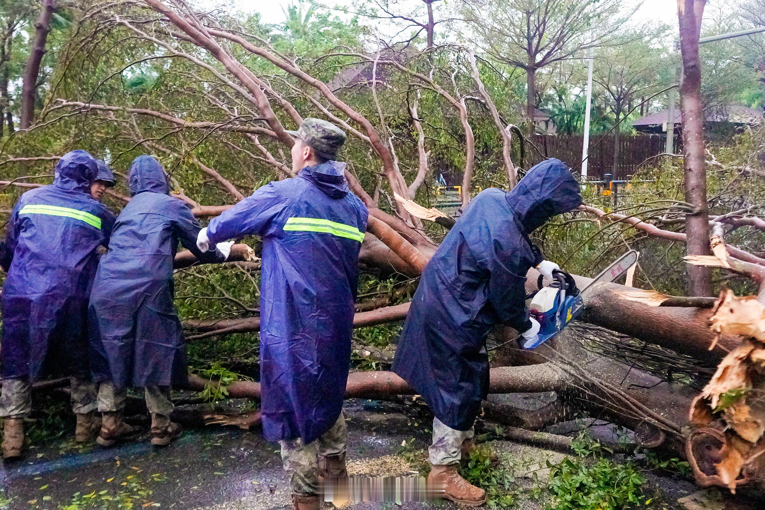 【台风“剑鱼”过境，海军航空兵某部出动应急抢险分队】8月24日以来，受强台风“剑