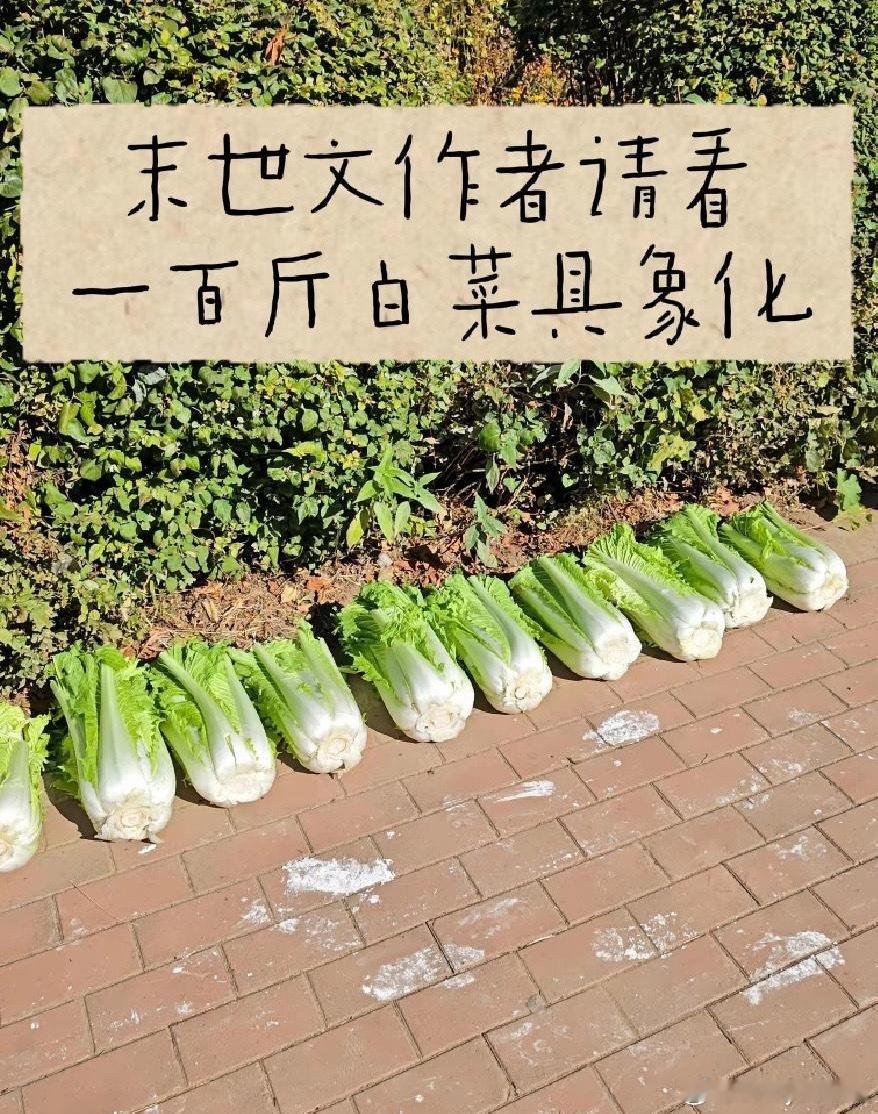 那些末世文的作者真的买过菜吗 这就是100斤白菜，抗不了多久 ​​​