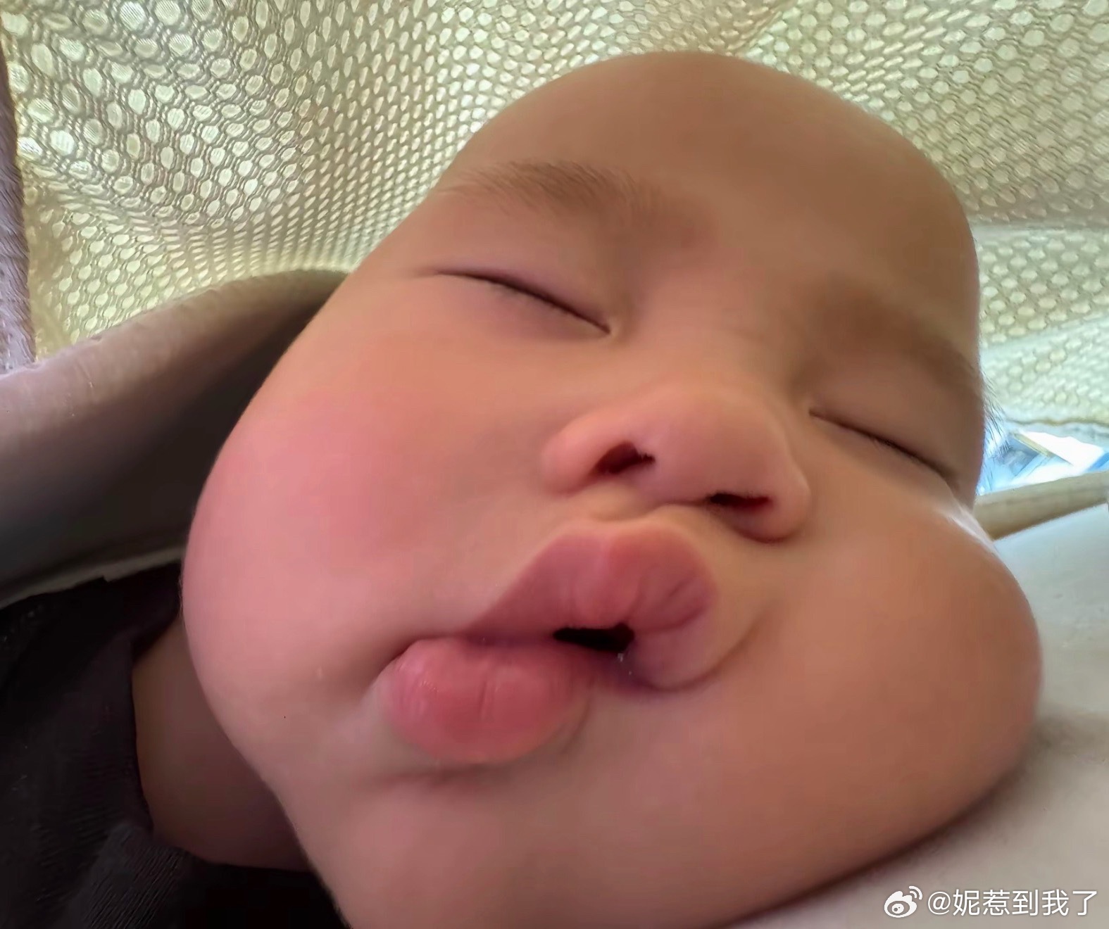 有没有跑路的宝宝出我一对儿饼饼 