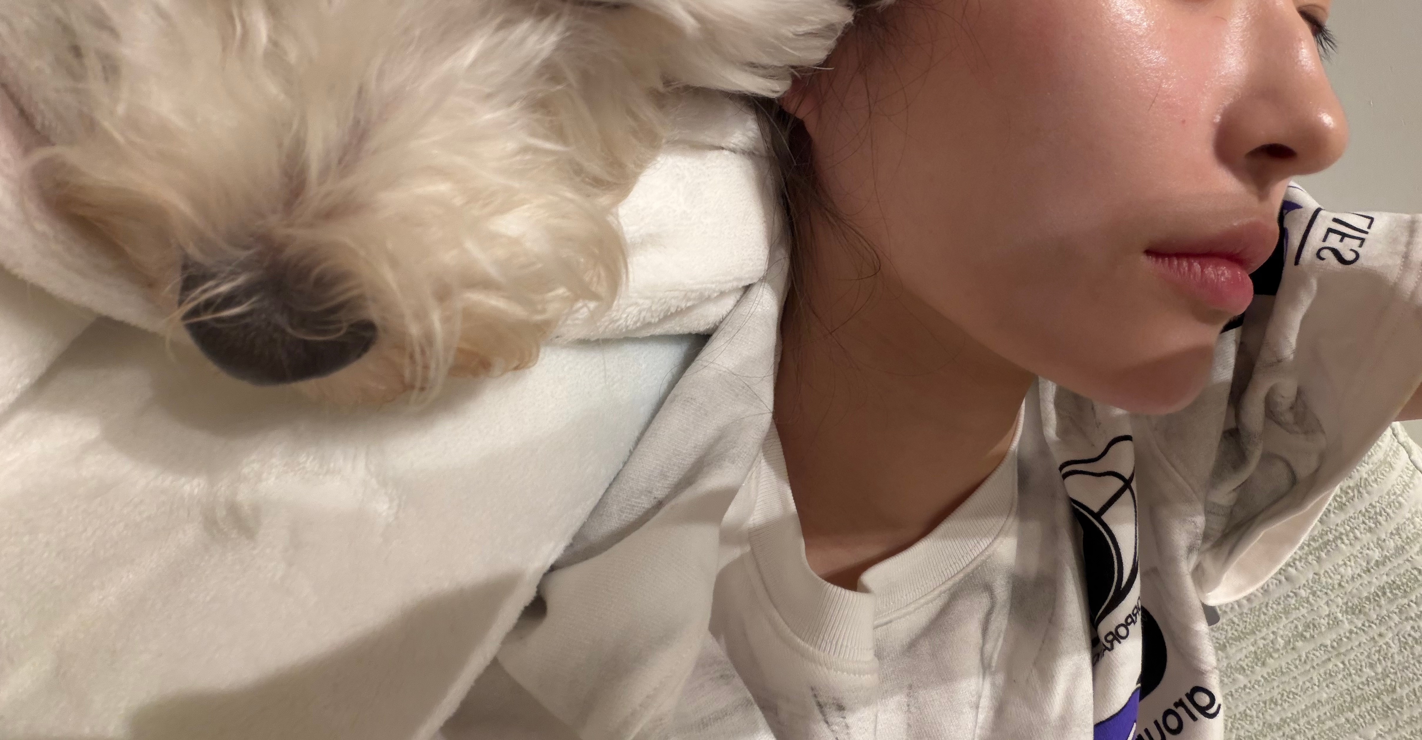 好可爱 小狗枕小狗