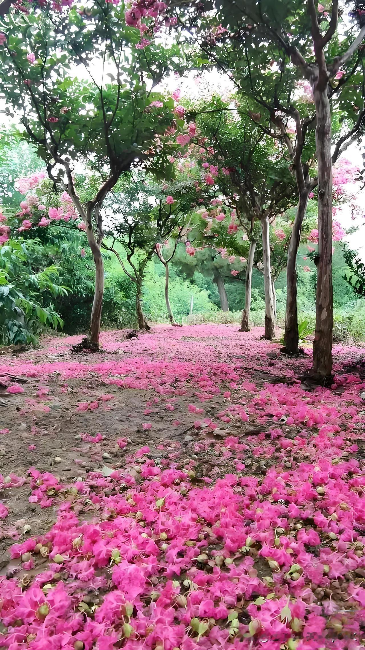 《落花》
——宋·杨万里
红紫成泥泥作尘，
颠风不管惜花人。
落花辞树虽无语，