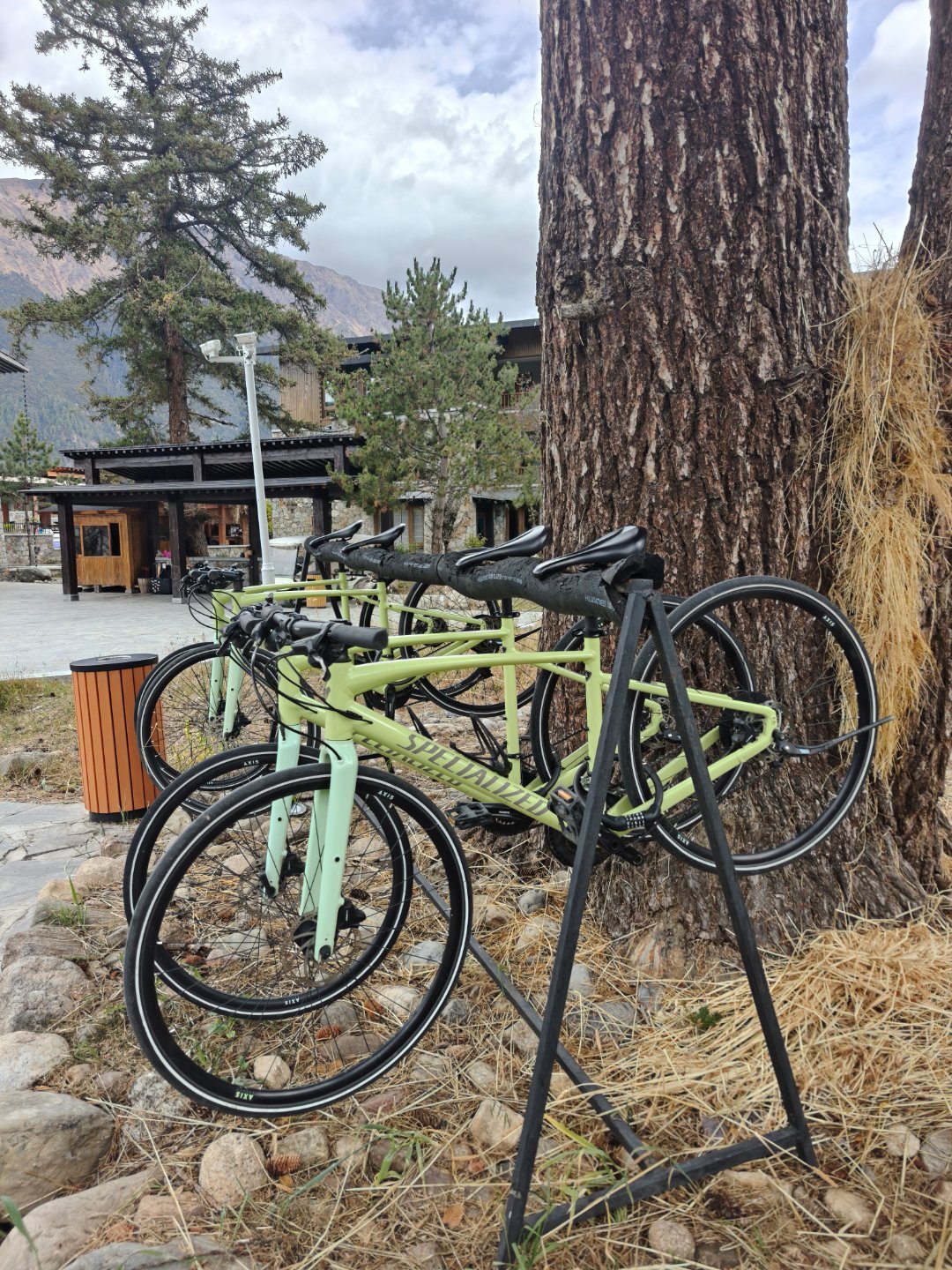 这风景配合着闪电的砾石，很有骑行的冲动，请大家告诉我一下，海拔3500骑行之后会