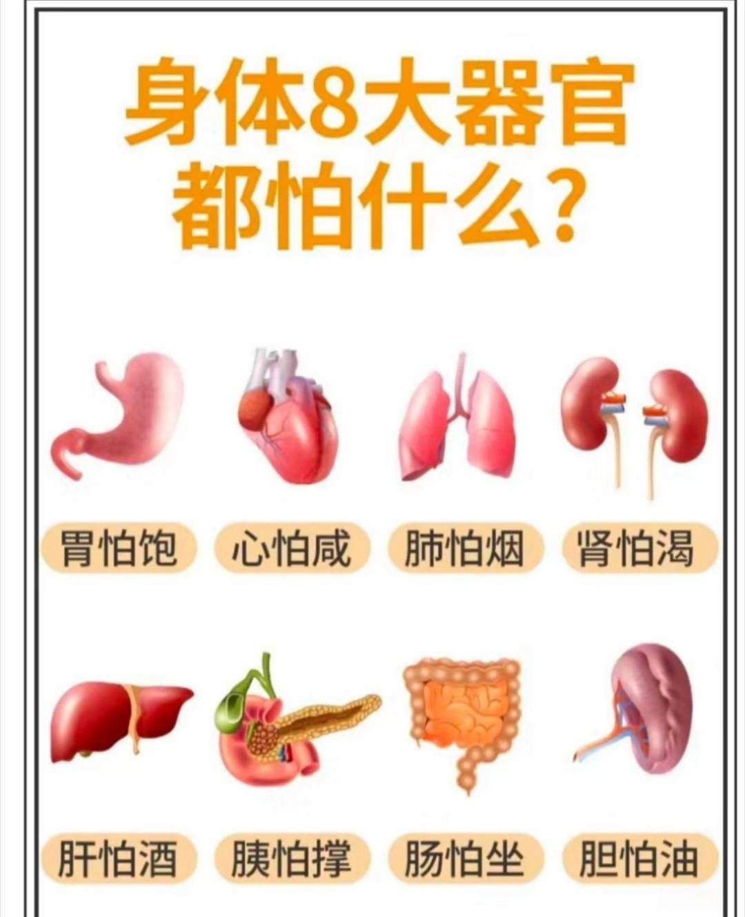 身材八大器官都怕甚么？ 