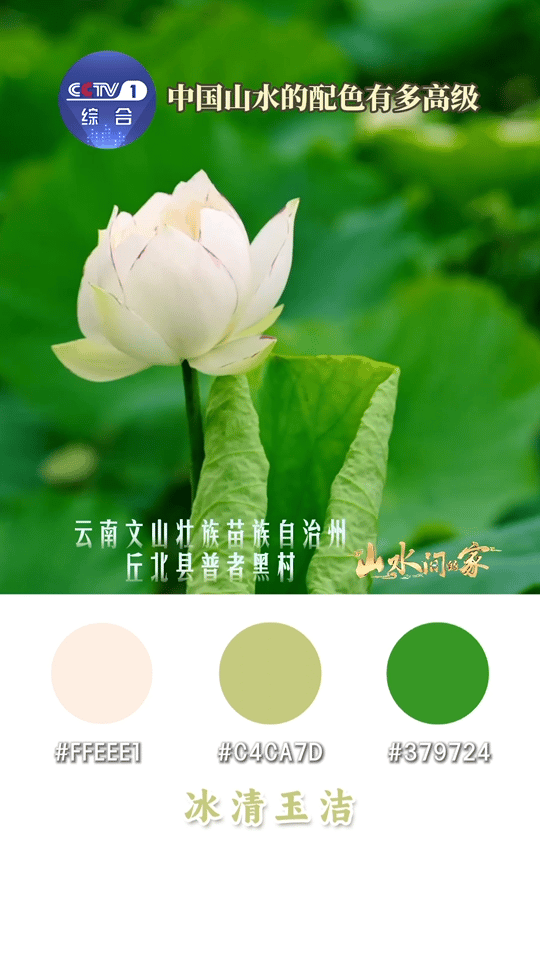 中国山水高级感配色自然配色才是YYDS！黛山凝翠、落日熔金、晨雾含白，每一组色调