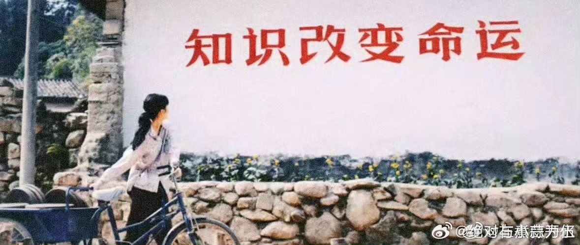 你好1983口碑发酵爽文爱好者狂喜！不憋屈不拖沓，逆袭干脆利落，节奏对乳腺超友好