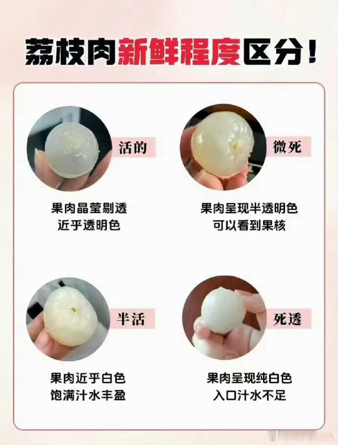 活荔枝 死荔枝省流 越透明越新鲜