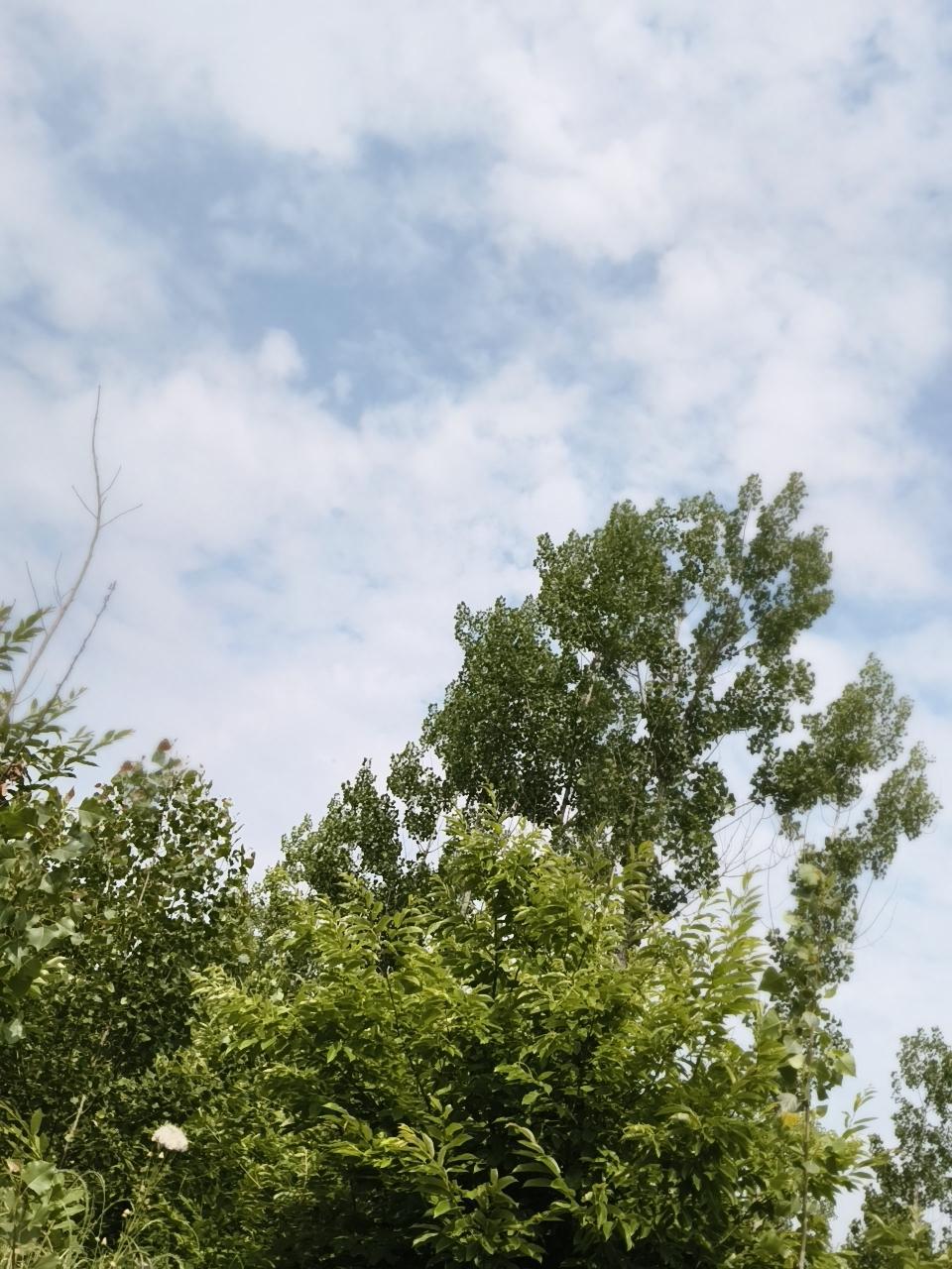 晒图笔记大赛夏天的天空，是多变的，不知不觉间离高考很近了，这有时候白天的时候没有