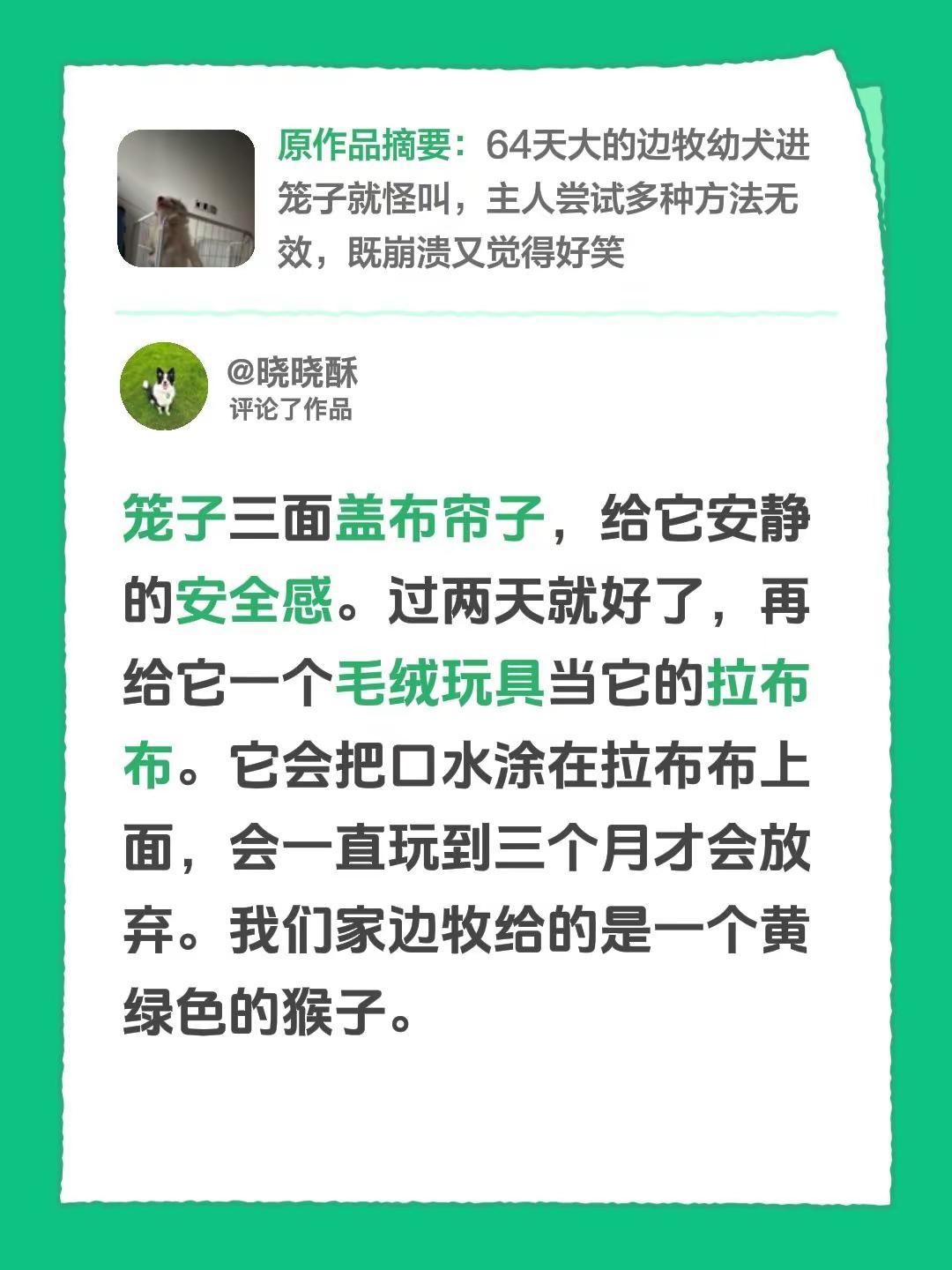 我评论了@邪恶小斗汉堡🍔 的作品：笼子三面盖布帘子，给它安静的安全感。过两天就