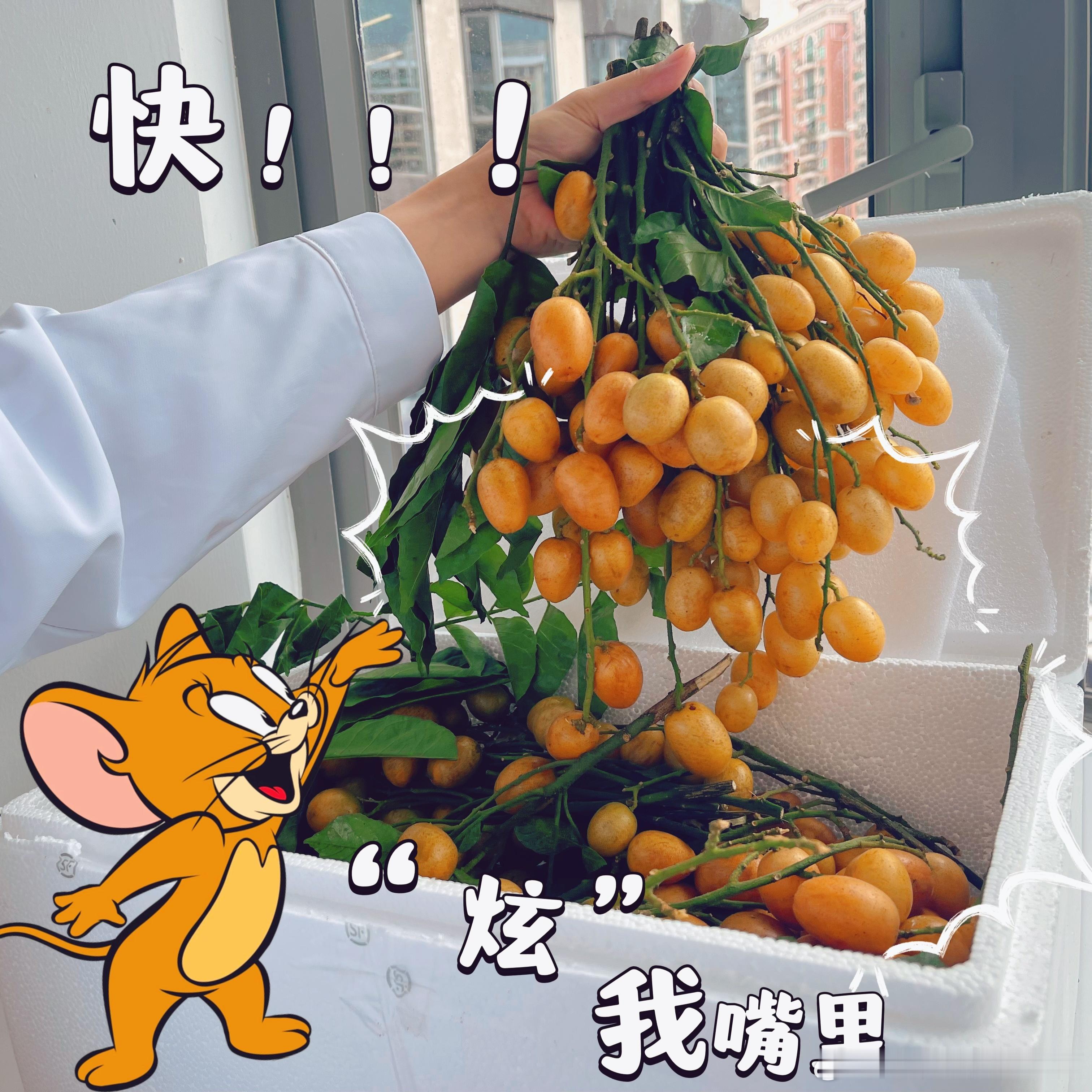 #美食# 广州店会员的投喂，据说是南方的“正气果”，有没有朋友知道是啥的？[坏笑