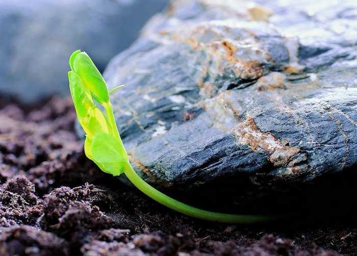 所谓心不死，则道不生。
你以为上天是在针对你，
老天根本不知道你经历了什么。
你