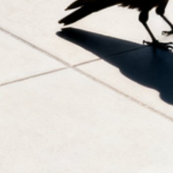 球场等你，跑道等你，先睡个好觉，晚安。 