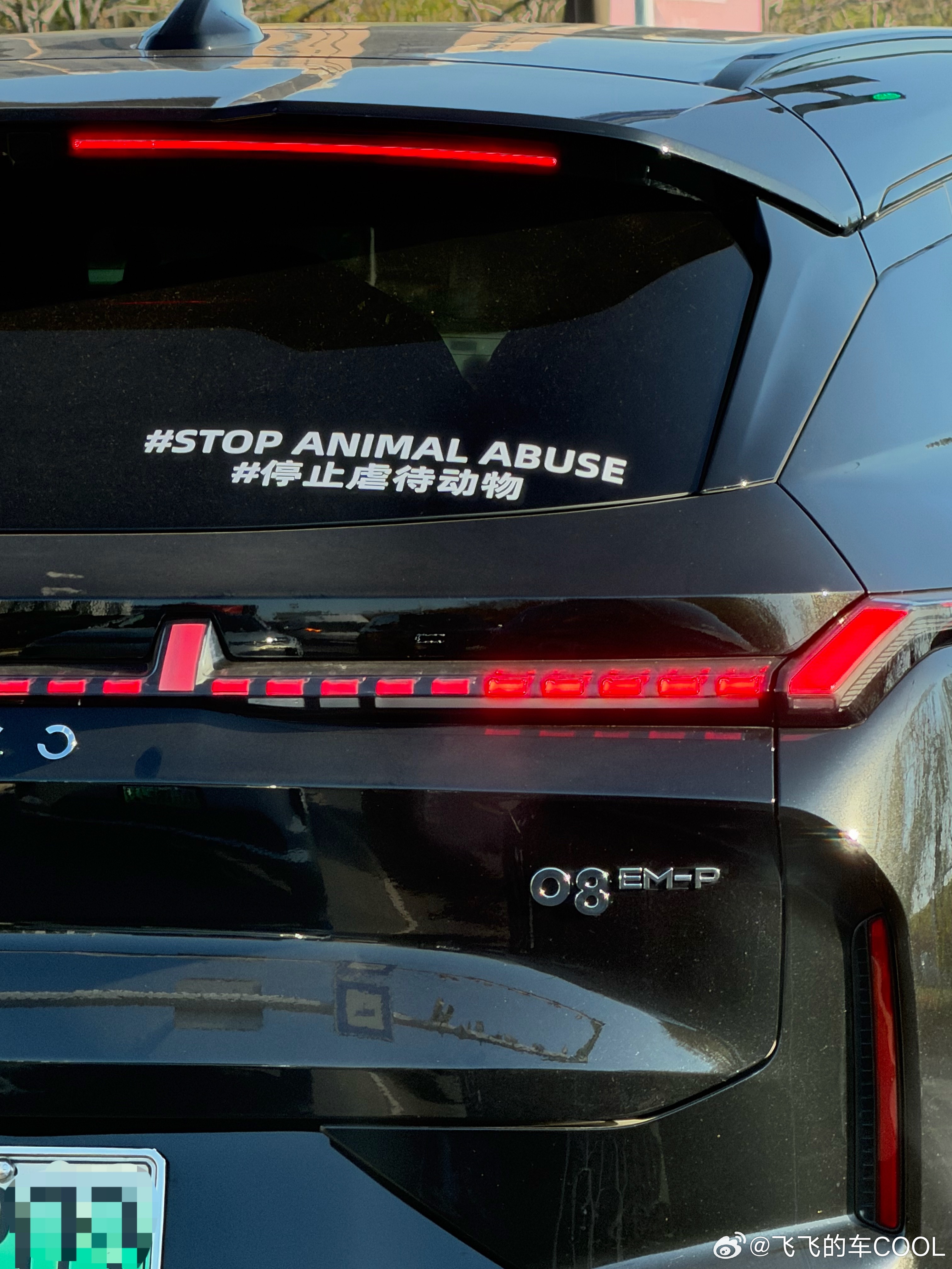 有爱的领克车主