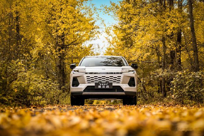 14万级全新威兰达到店 14万级全新威兰达到店啦，这绝对是家用SUV里的宝藏之选