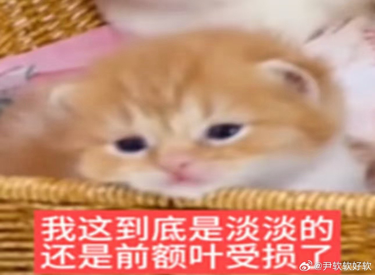 大吉胡咧咧 挟恩不图报16枣康赶紧吃了两口，他可没有生气。他一向忍气吞声，这样的