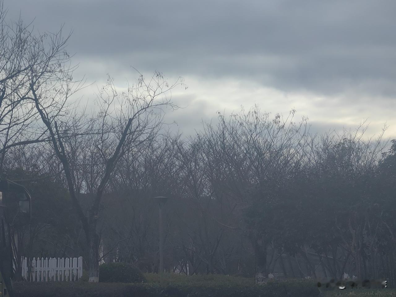 晒图笔记大赛 家人们谁懂啊！参加 晒图笔记大赛 简直打开新世界！我随手晒出日常美