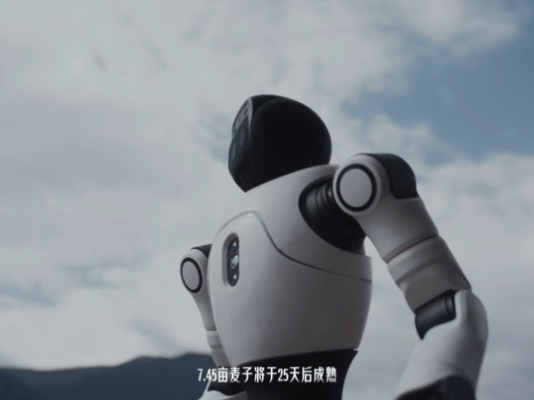 刘震云说AI也不容易 谁懂刘震云跟AI的这段对话！AI在麦田里因为感知不到麦浪、