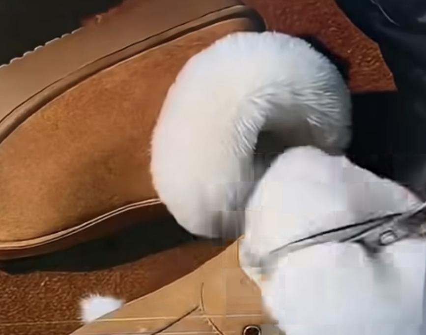 离了个大谱客服
浙江，女子买了一双10几块钱的鞋子，
穿了几天，有一些开线，对方