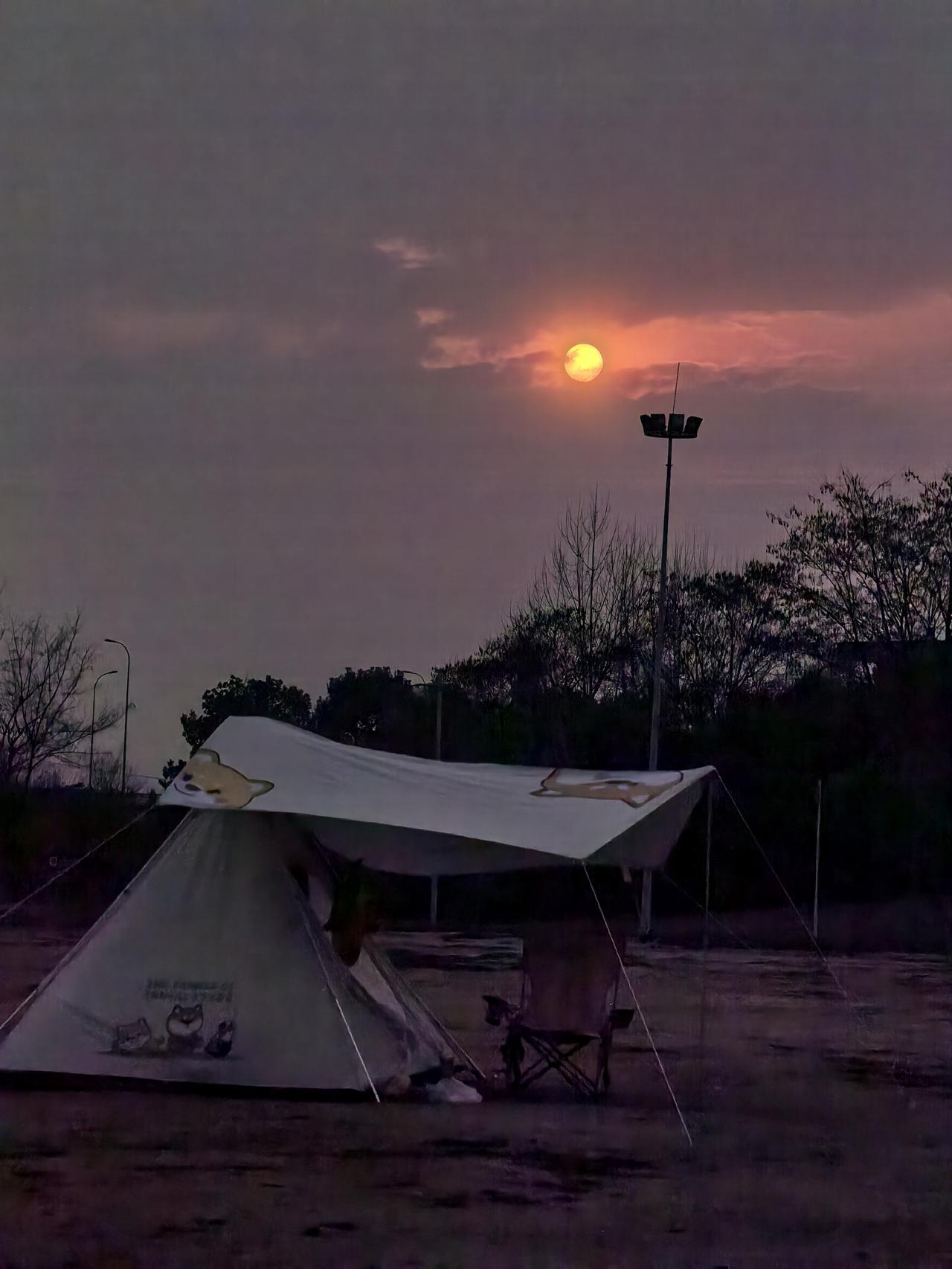 今年春天最想实现的心愿赚钱暴富