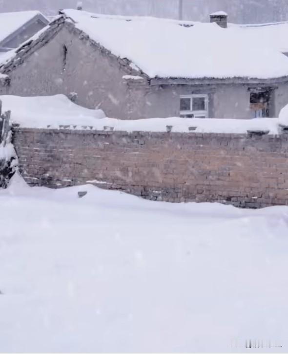 今年冬天的不同