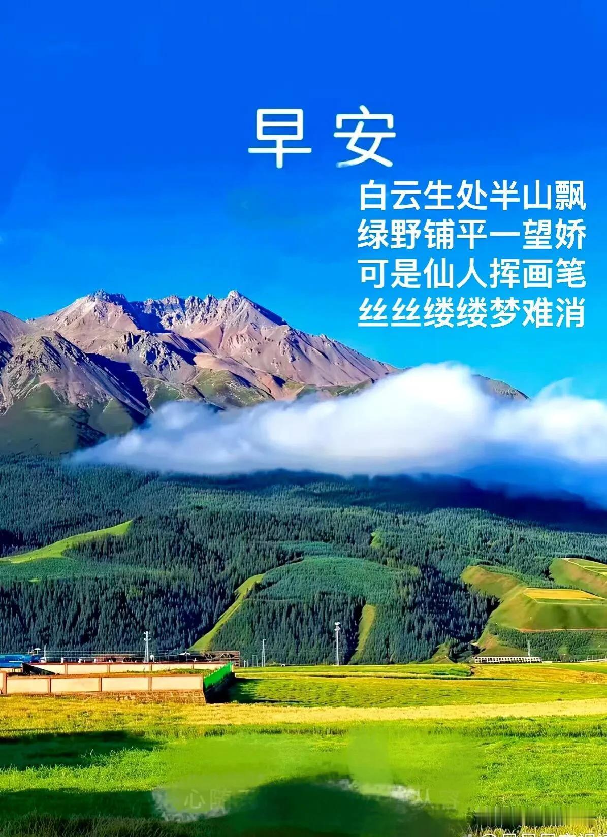 新的一天如约而至，好好生活，慢慢相遇，早安。