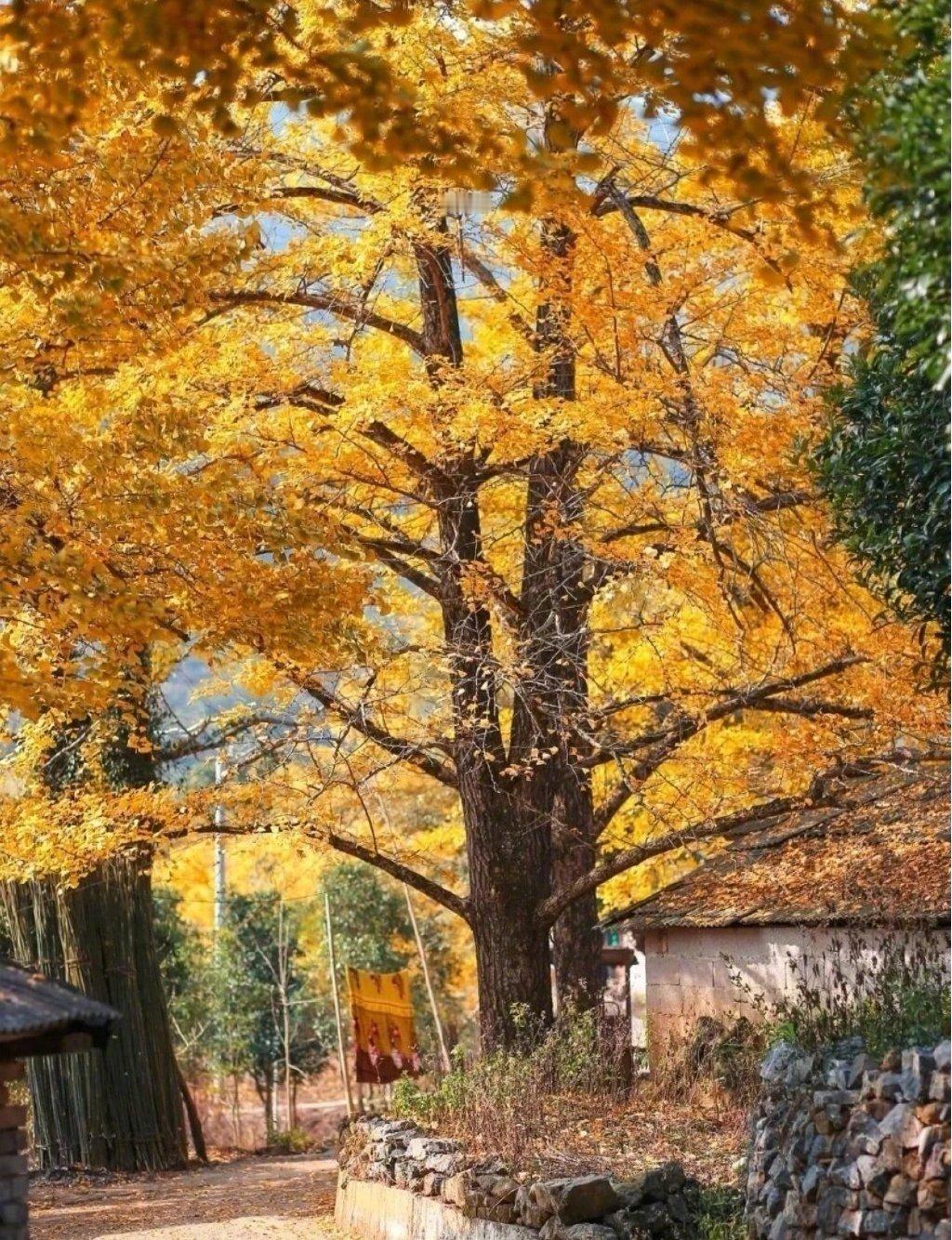 一周内，好事接二连三 ​​​ ​​​​