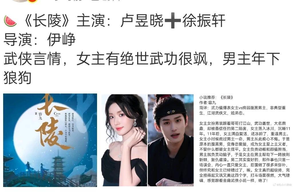 《长陵》好久远的一个饼，当时一直传刘亦菲，把我都给传信了