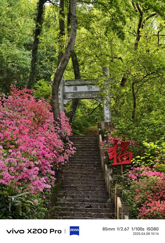 可惜你不来杭州，不知道春天的西湖有多美