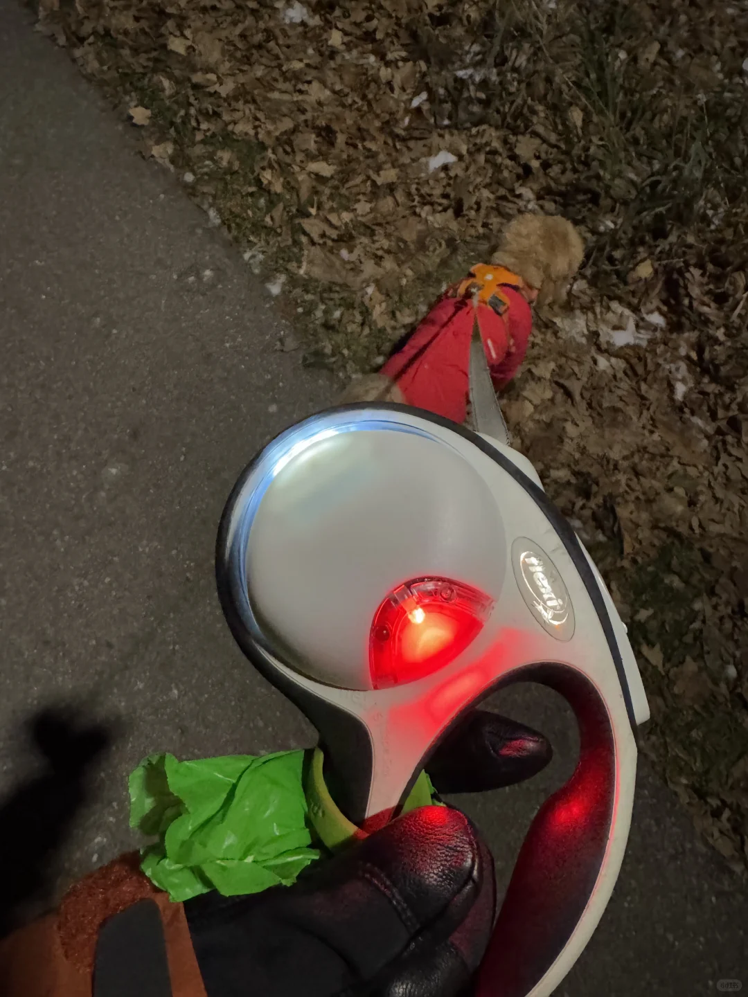 我看看谁还没有这个冬日遛狗神器