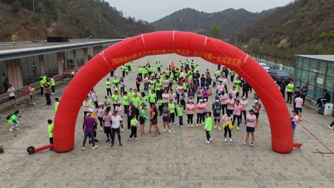 【山承百杏·金山独秀春风逐梦长城下 杏花相伴奔跑时——2026 金山岭长城登高跑