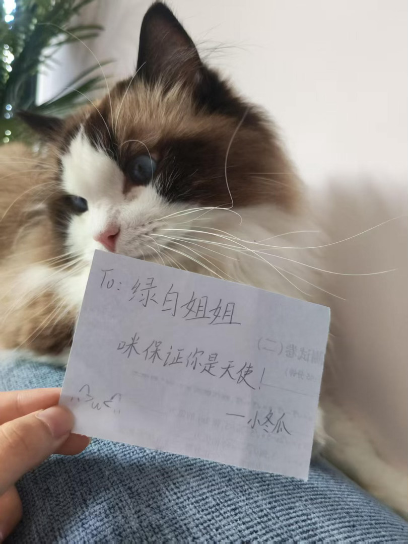 小冬瓜这个萌 