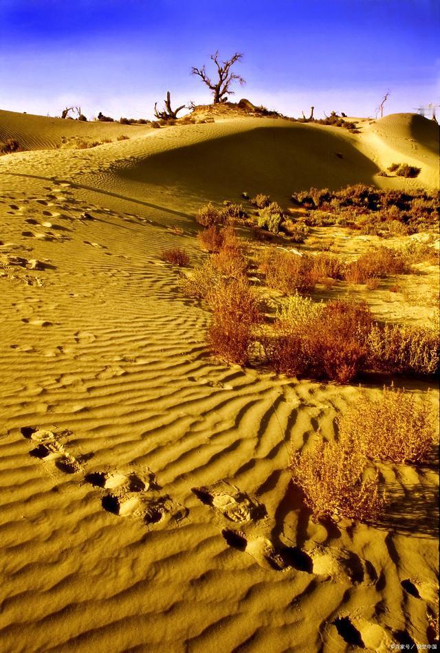 天蝎座天生爱吃醋
吃了醋还不说，
但是会发各种小脾气企图让对方发现
如果对方没发