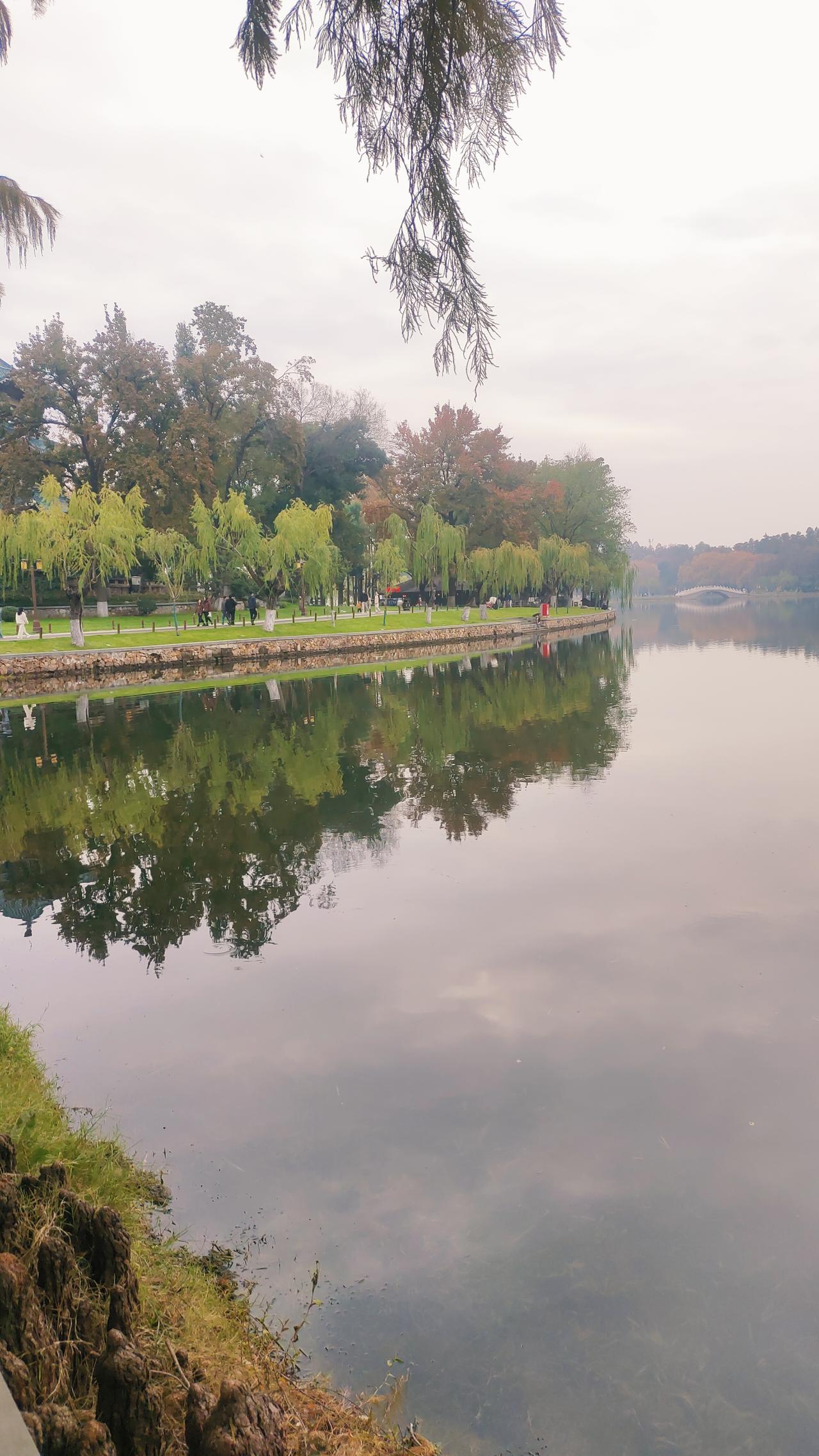 我爸妈实在太节俭了

我爸妈那个年代的人，都比较节俭，这是一个时代的环境造成的。