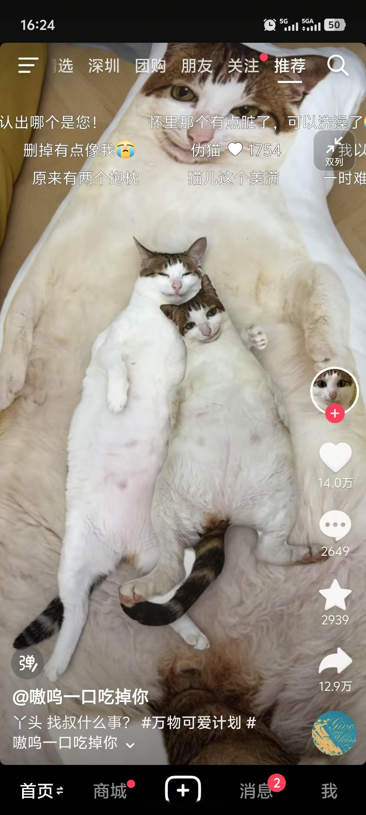 怎么越丑的东西越火打算给家里小猫定制个图一样的玩偶丑丑的，但是很有趣呀[喵喵] 