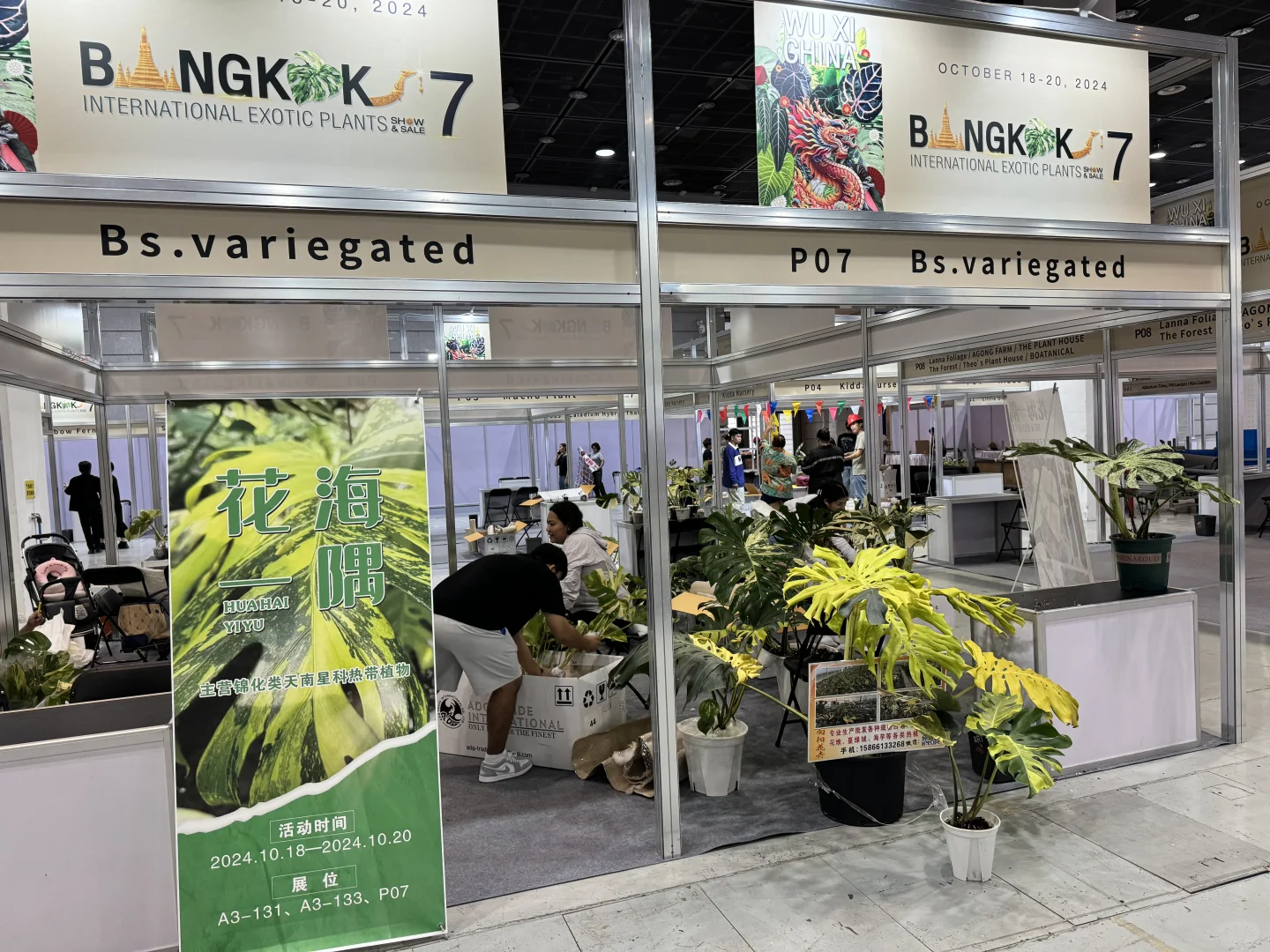 无锡热植展会，欢迎大家来找我玩