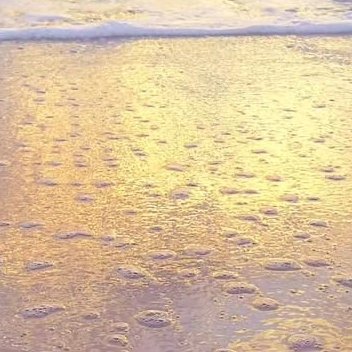 每日一善   每日一善   阳光信用 “最艰难的时候别老想着太远的将来，只要鼓励