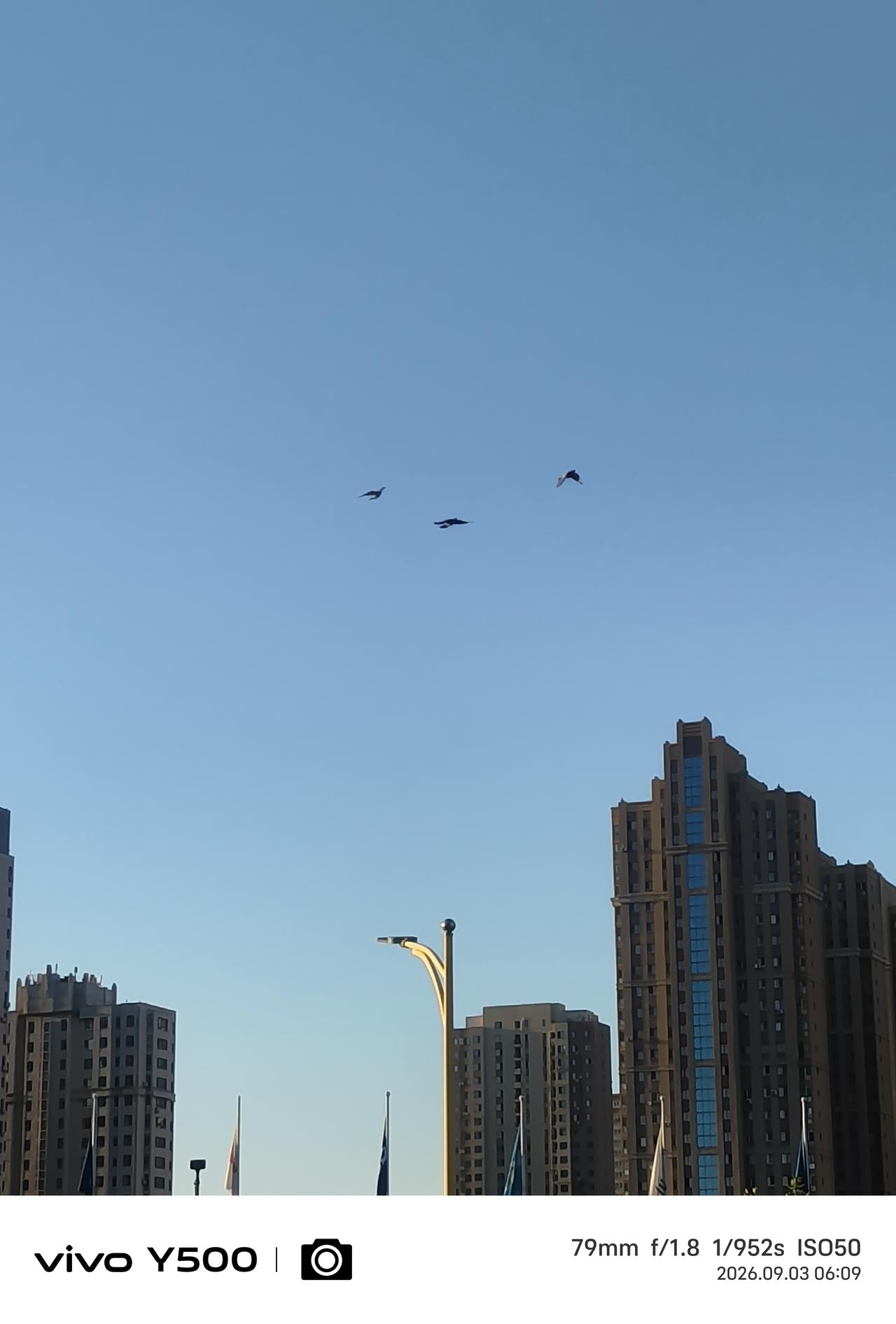 人生至美是悠闲
初秋的早晨五、六点钟，微风不燥清爽宜人 ，太阳还没有放出灼热的光