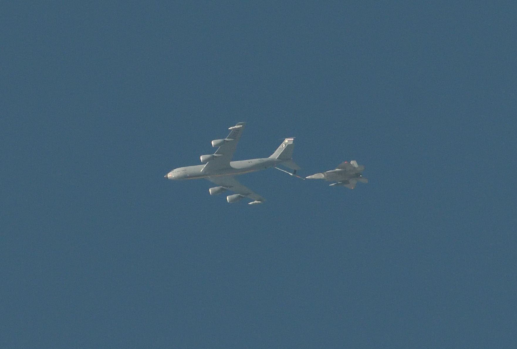 短腿的“娘娘”，跑路了。今天傍晚，澳大利亚西部珀斯（与北京时间没有时差）当地网友