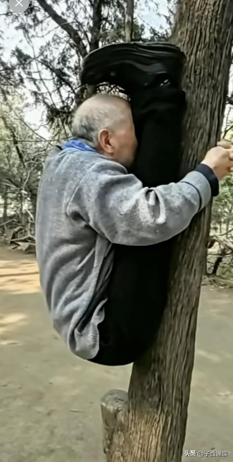 哇，这大爷实在是太牛了，这是怎么上去的啊，又怎么下来呢？