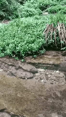 不懂就问，那是牢底坐穿鱼吗？[允悲] 