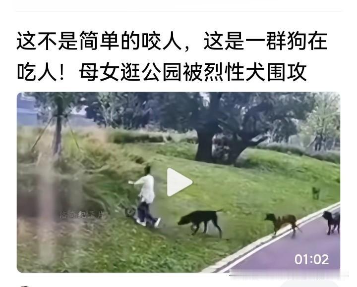 狗患成灾，严重影响百姓安居乐业绝不是危言耸听啊！

看看下面九牛一毛的恶狗恶行 