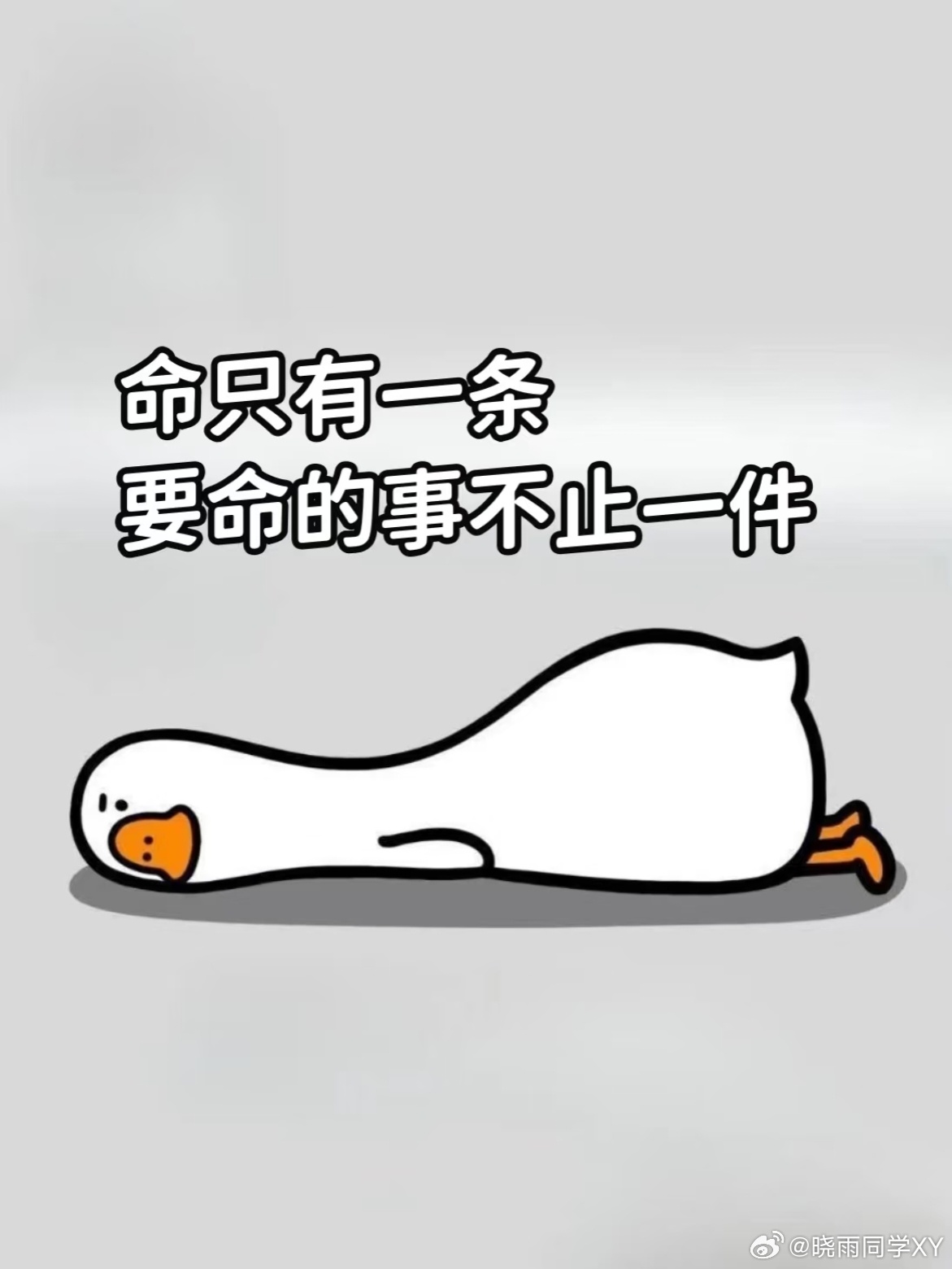 4月7日24时油价迎来上调油价又涨了，每次看到调价通知都心疼钱包。油车一脚油门下