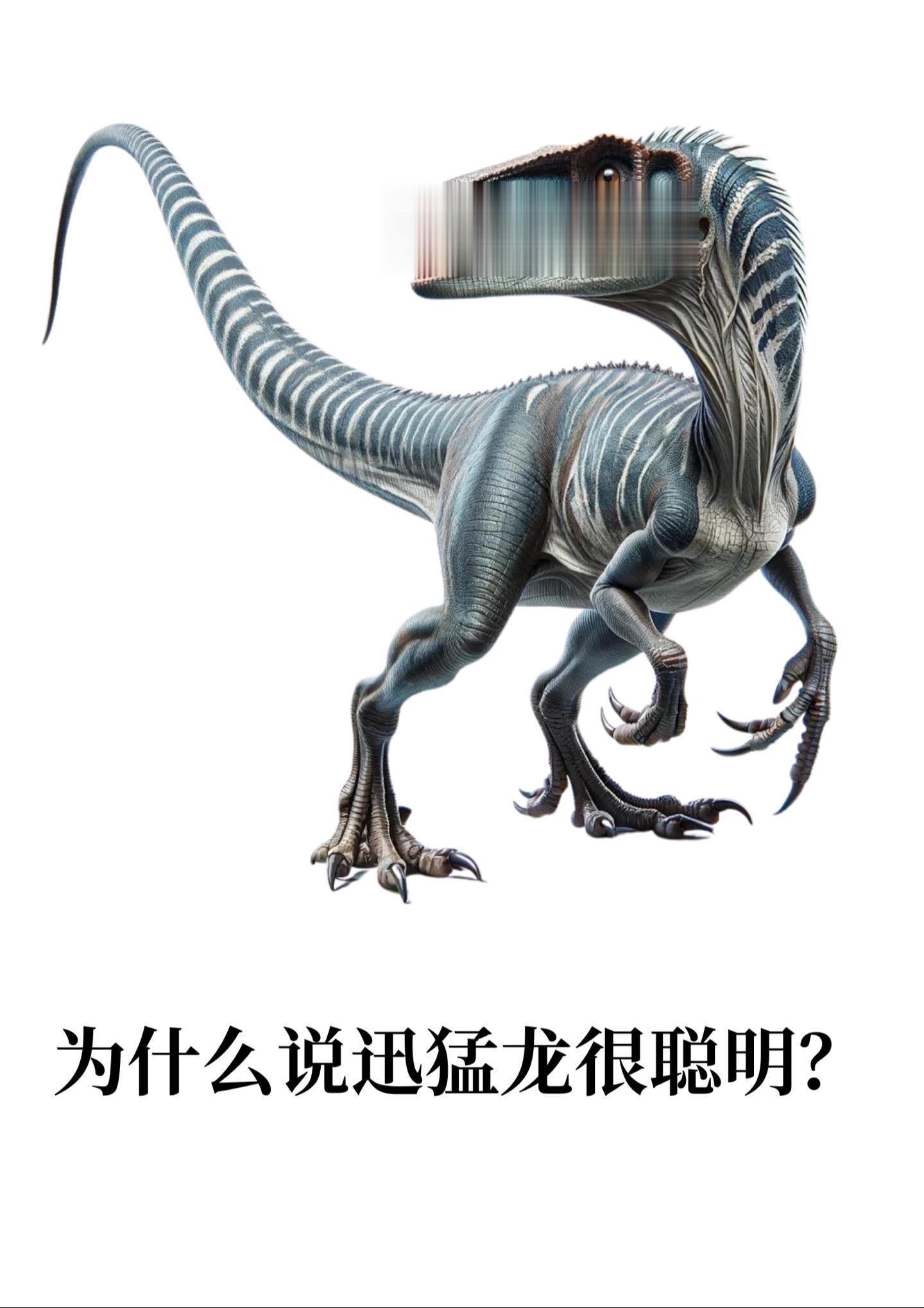 迅猛龙原来这么聪明