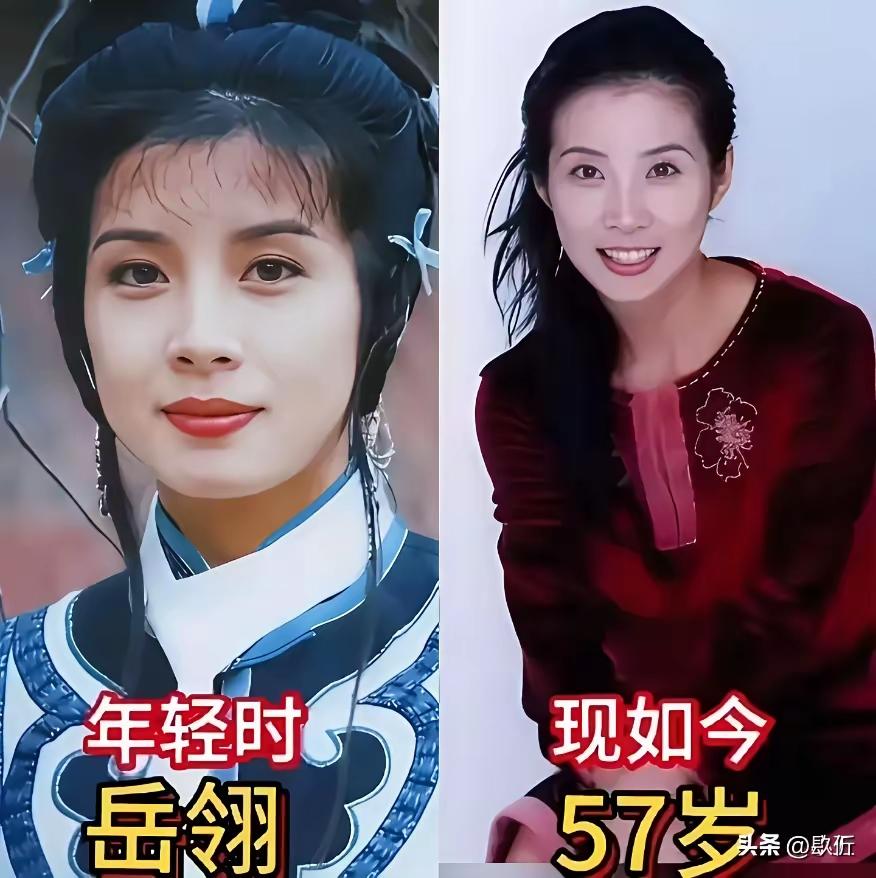 嗯原来岳翎才是被我们低估的琼瑶女神啊？《梅花三弄》当时这三部电视剧颜值最不起眼的