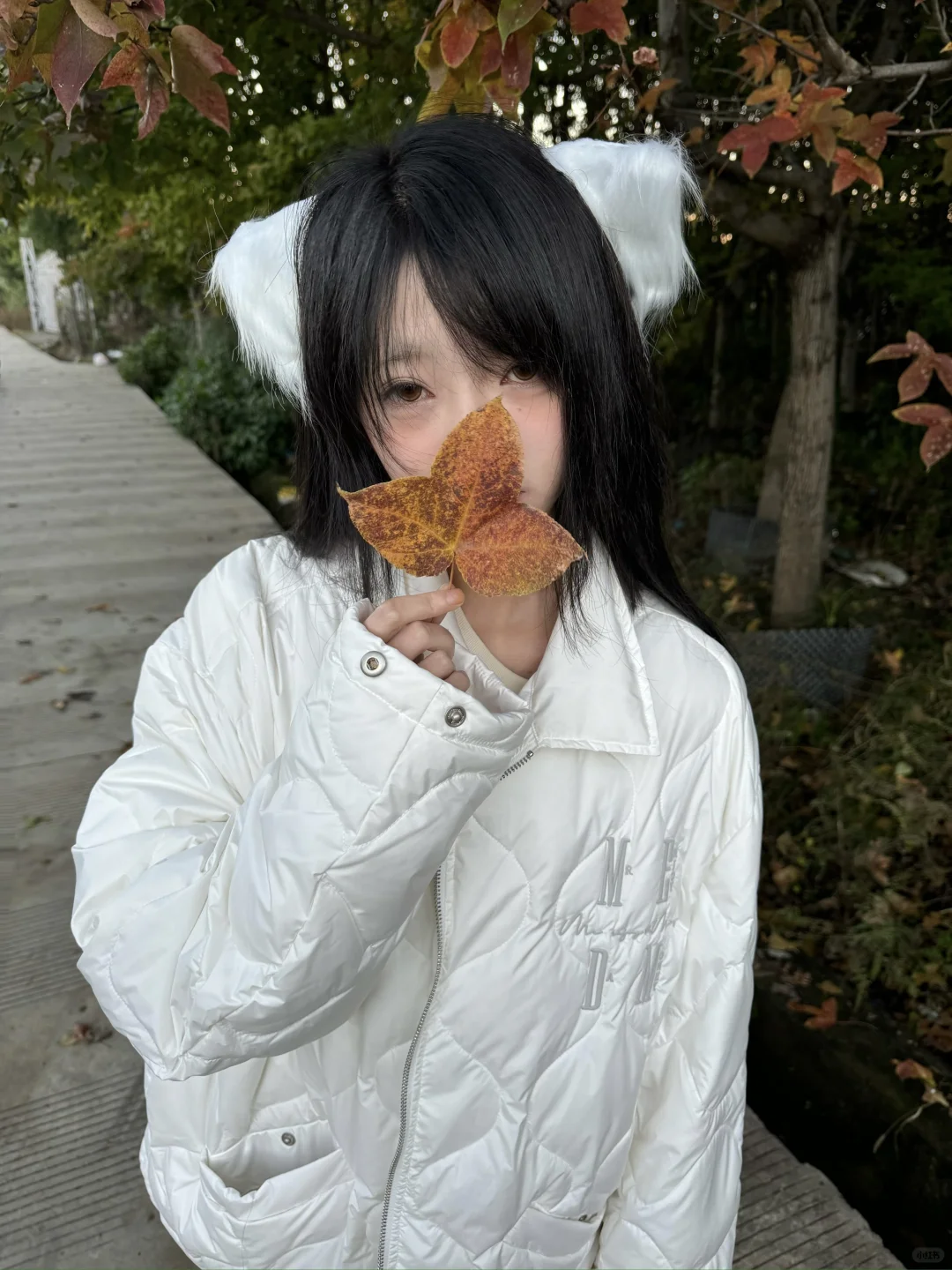 🍁