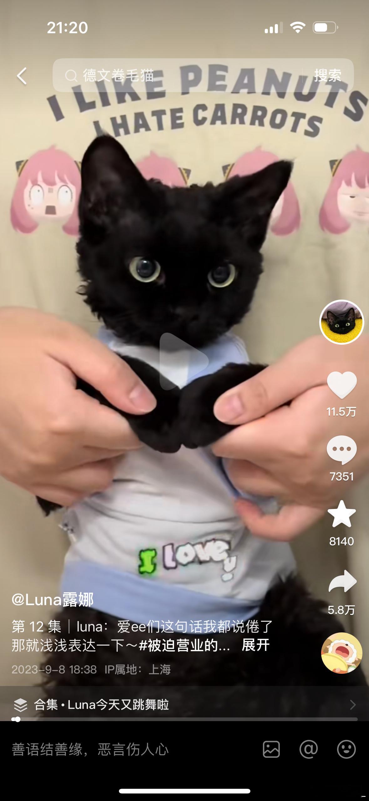 哎呦好喜欢这个小猫咪 ​​​