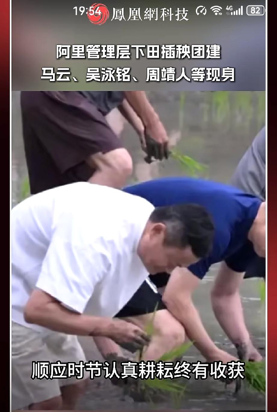 雷军吃面条作秀，马云插秧也是作秀。马云带领阿里一众高管插秧，也是典型的作秀，网友